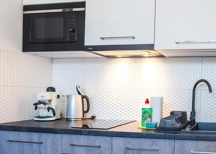 Z Pieknym Widokiem Na Gory Apartment *