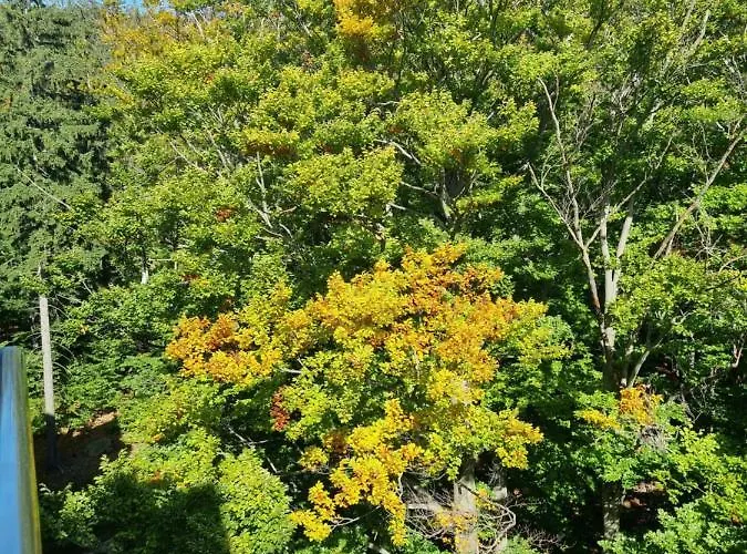 Apartment Z Pieknym Widokiem Na Gory