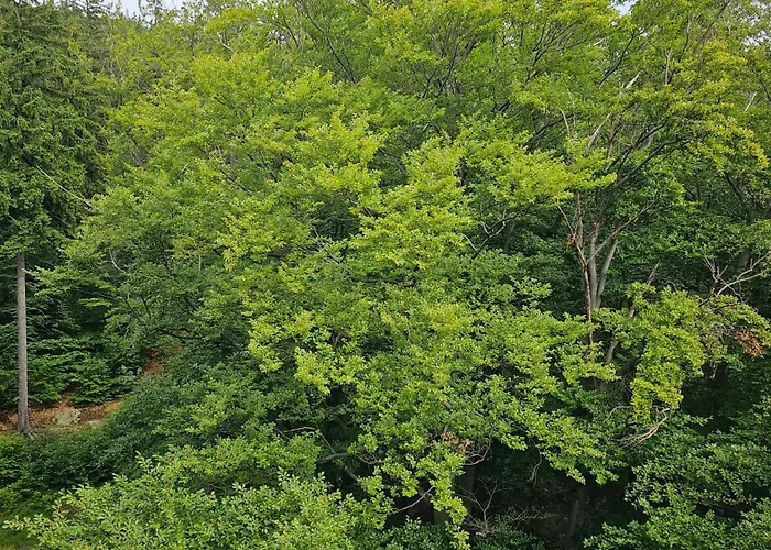 Apartment Z Pieknym Widokiem Na Gory