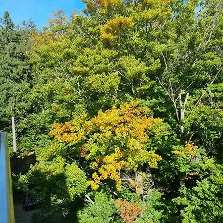 Apartment Z Pieknym Widokiem Na Gory