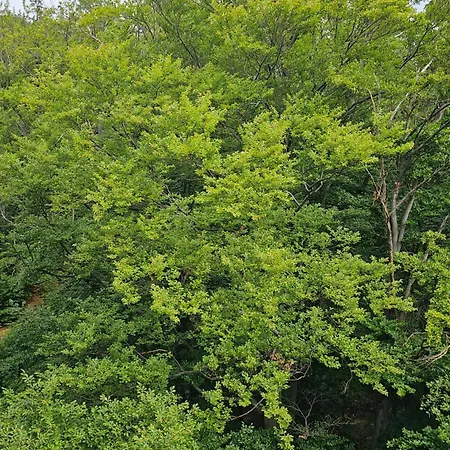 Apartment Z Pieknym Widokiem Na Gory