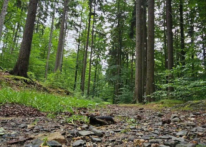 Z Pieknym Widokiem Na Gory